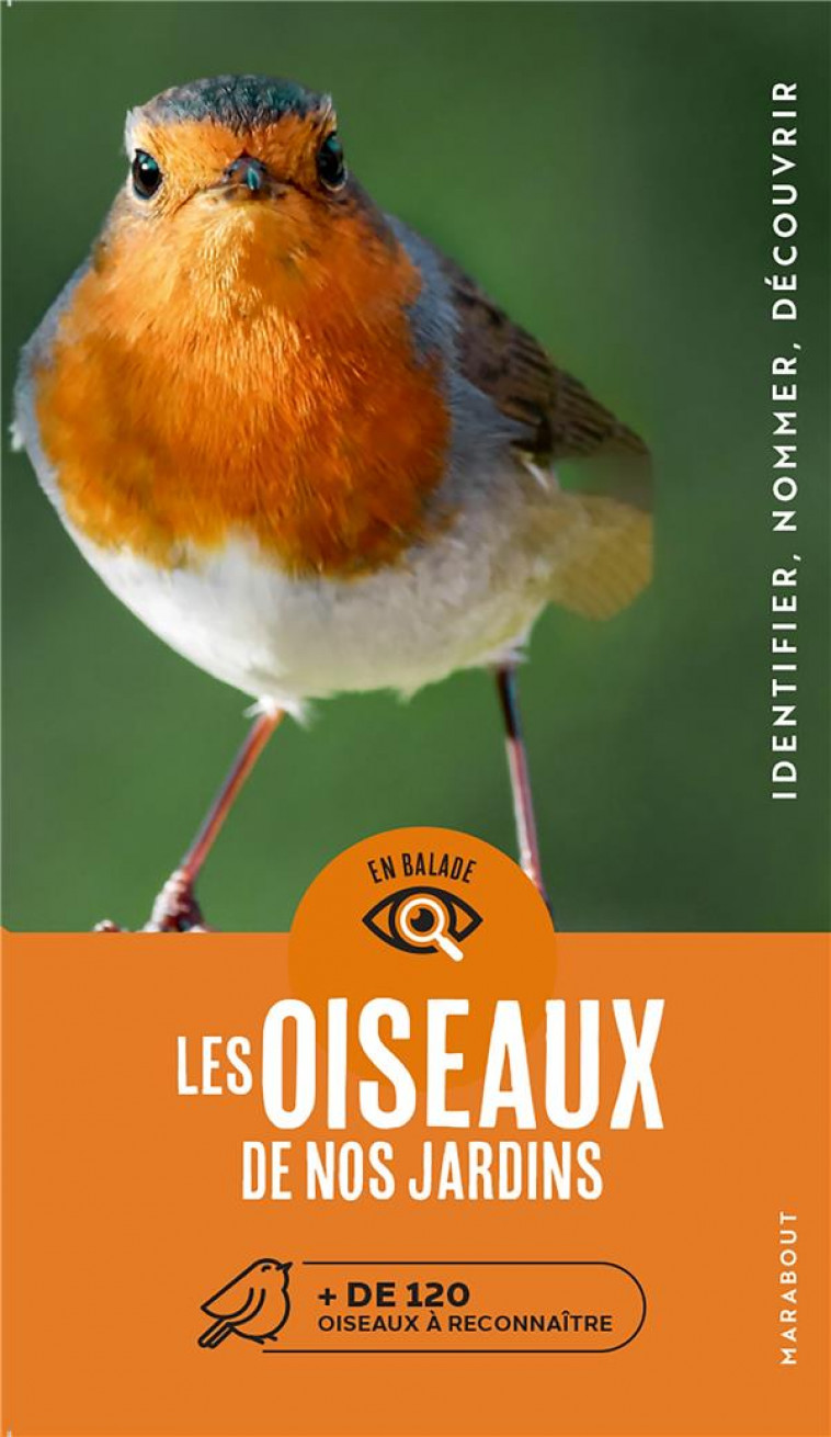 EN BALADE - LES OISEAUX DE NOS JARDINS - DIERSCHKE VOLKER - MARABOUT