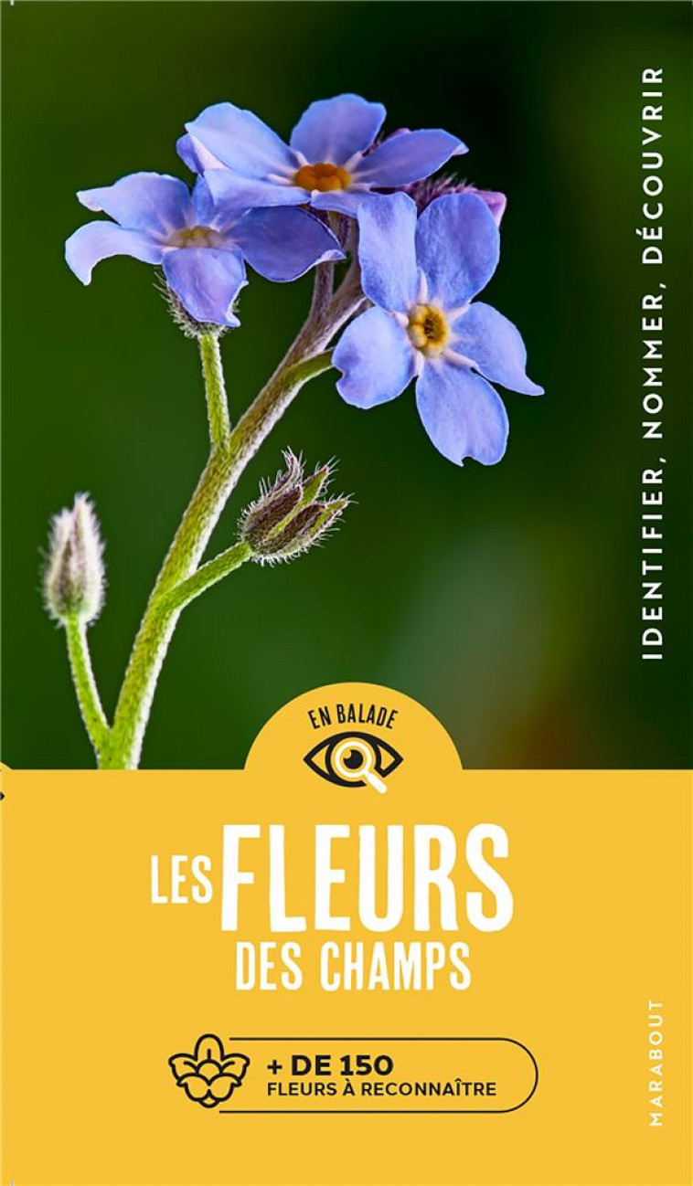 EN BALADE - LES FLEURS - DREYER EVA-MARIA - MARABOUT