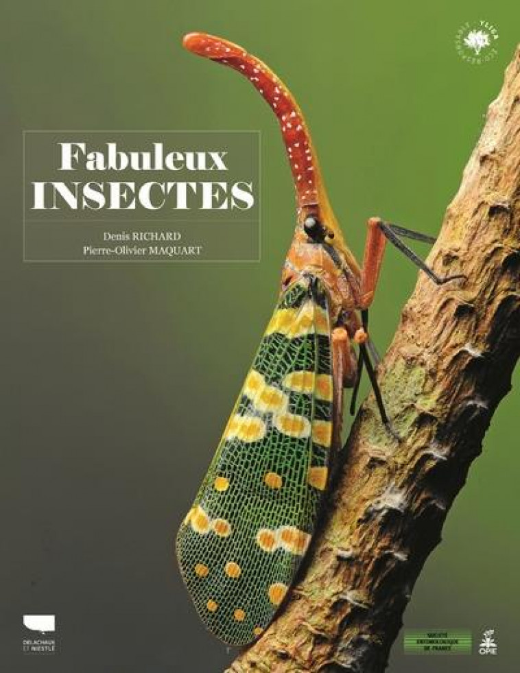 FABULEUX INSECTES - RICHARD DENIS - DELACHAUX