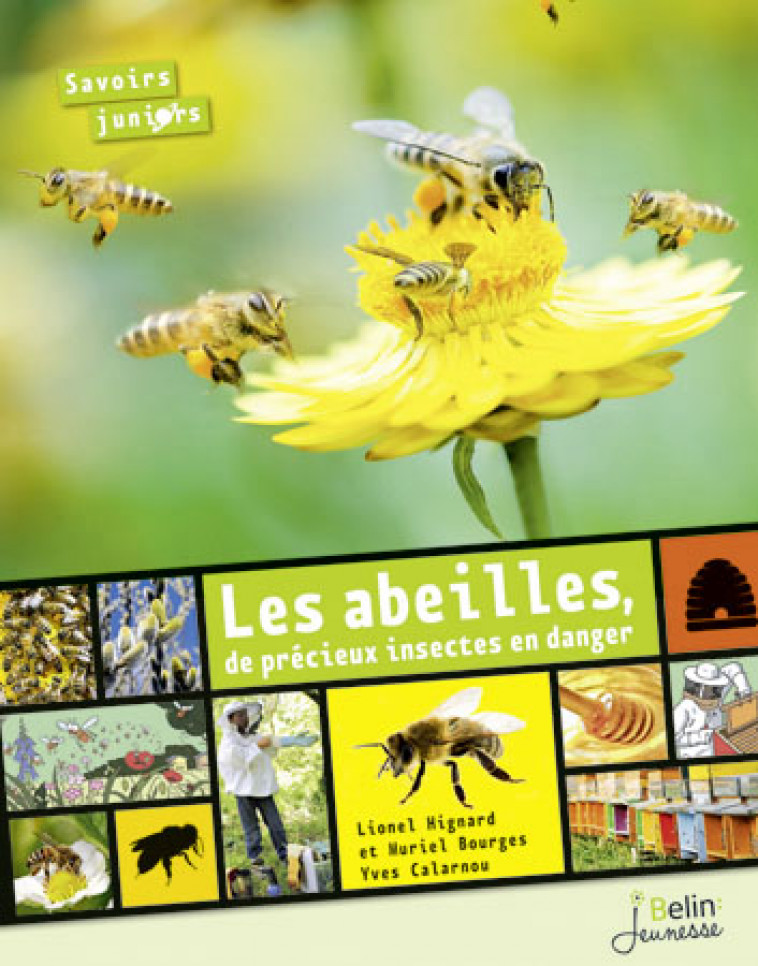 LES ABEILLES, DE PRECIEUX INSECTES EN DANGER NE - BOURGES/CALARNOU - Belin jeunesse