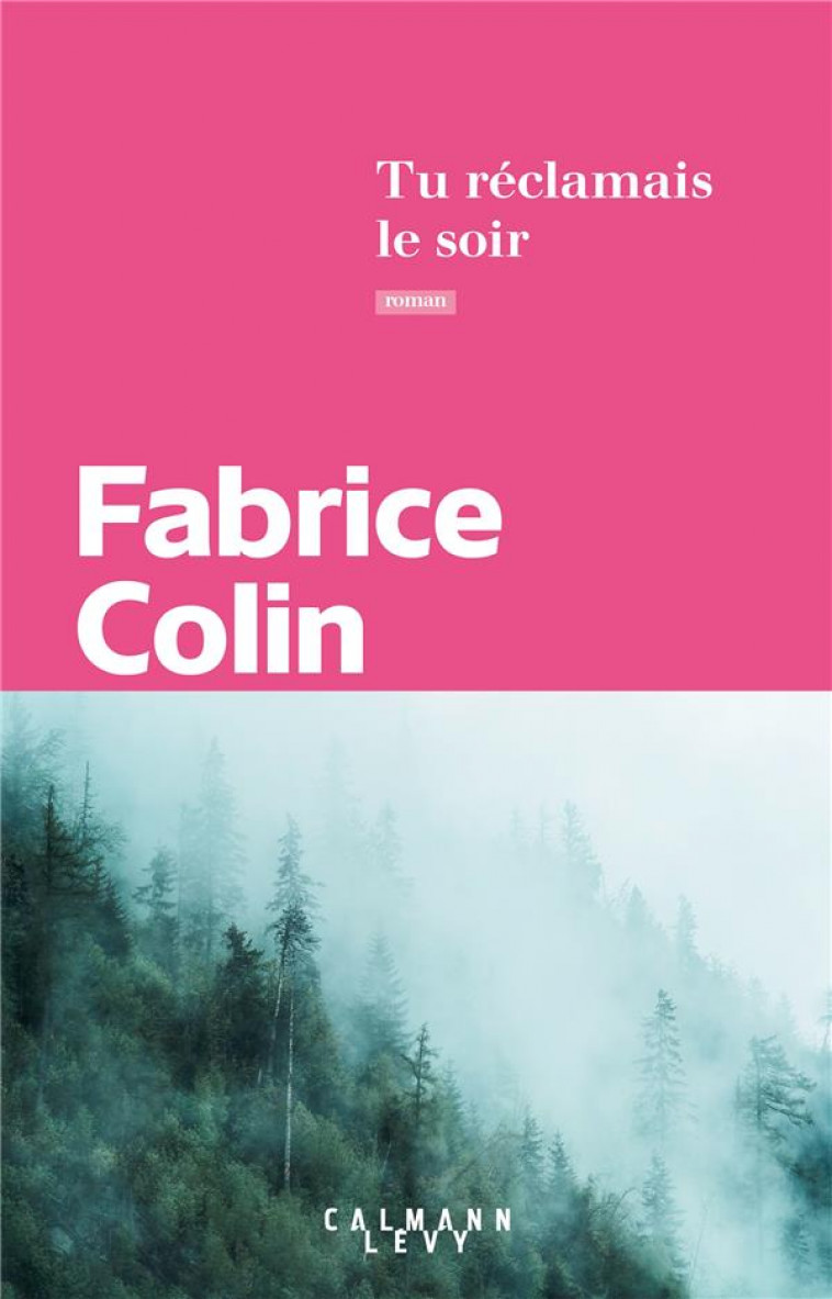 TU RECLAMAIS LE SOIR - COLIN FABRICE - CALMANN-LEVY