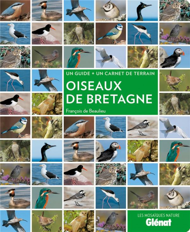 OISEAUX DE BRETAGNE - BEAULIEU FRANCOIS - Glénat