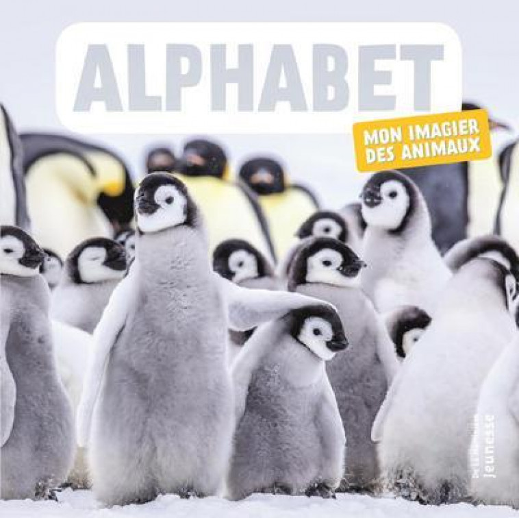 ALPHABET - MON IMAGIER DES ANIMAUX - NATURAGENCY - MARTINIERE BL