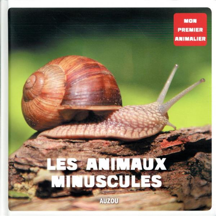 LES ANIMAUX MINUSCULES - XXX - PHILIPPE AUZOU