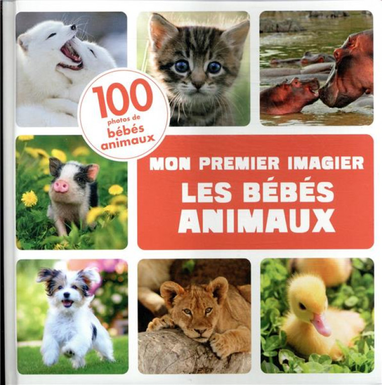 LES BEBES ANIMAUX - AUBERT IRENA - PHILIPPE AUZOU