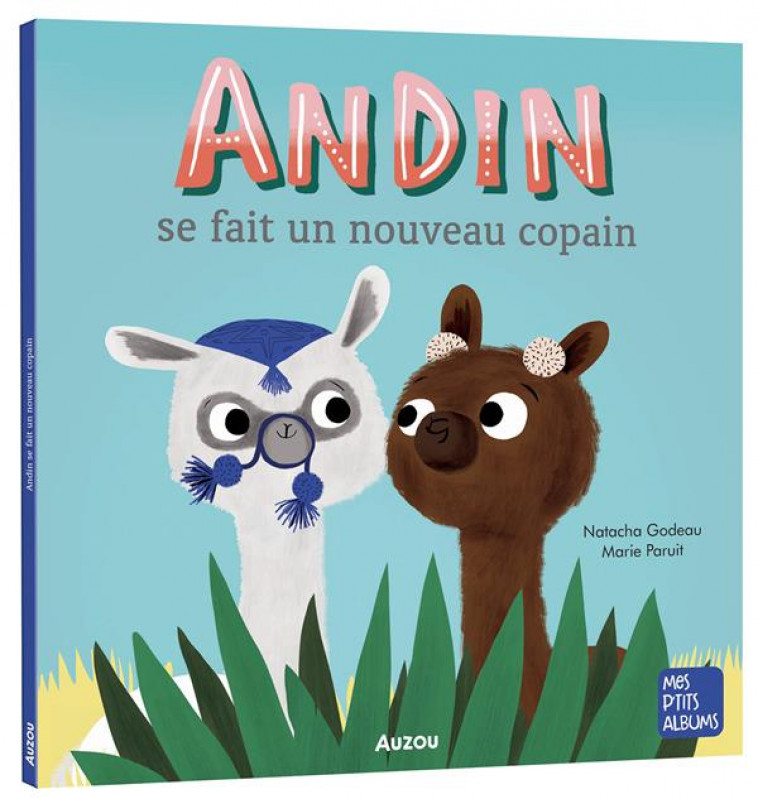 ANDIN SE FAIT UN NOUVEAU COPAIN (NE) - GODEAU/PARUIT - PHILIPPE AUZOU