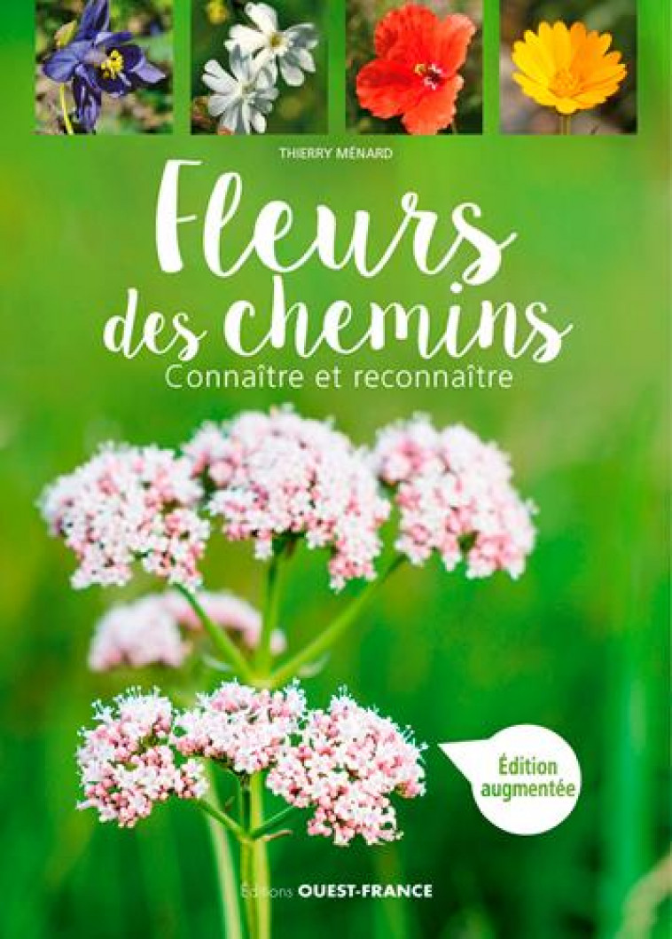 FLEURS DES CHEMINS - MENARD THIERRY - OUEST FRANCE