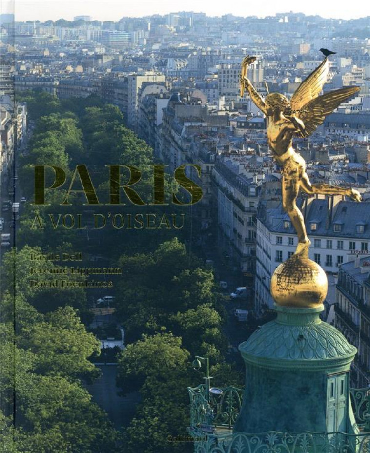 PARIS A VOL D-OISEAU - FOENKINOS/LIPPMANN - Gallimard-Loisirs