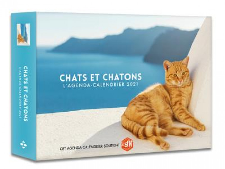 L-AGENDA-CALENDRIER CHATS ET CHATONS 2021 - COLLECTIF - HUGO JEUNESSE