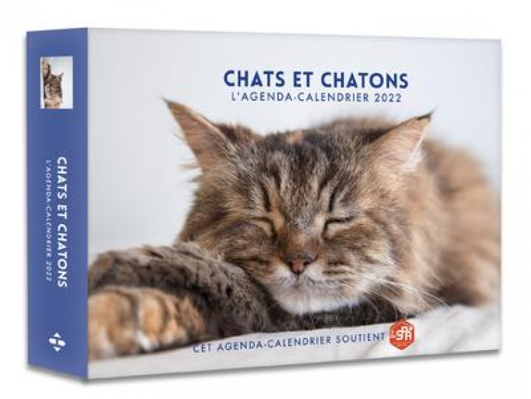 L-AGENDA - CALENDRIER CHATS ET CHATONS 2022 - COLLECTIF - HUGO JEUNESSE