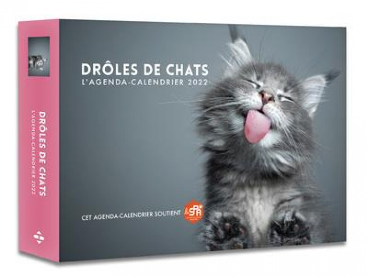 L-AGENDA - CALENDRIER DROLES DE CHATS 2022 - COLLECTIF - HUGO JEUNESSE