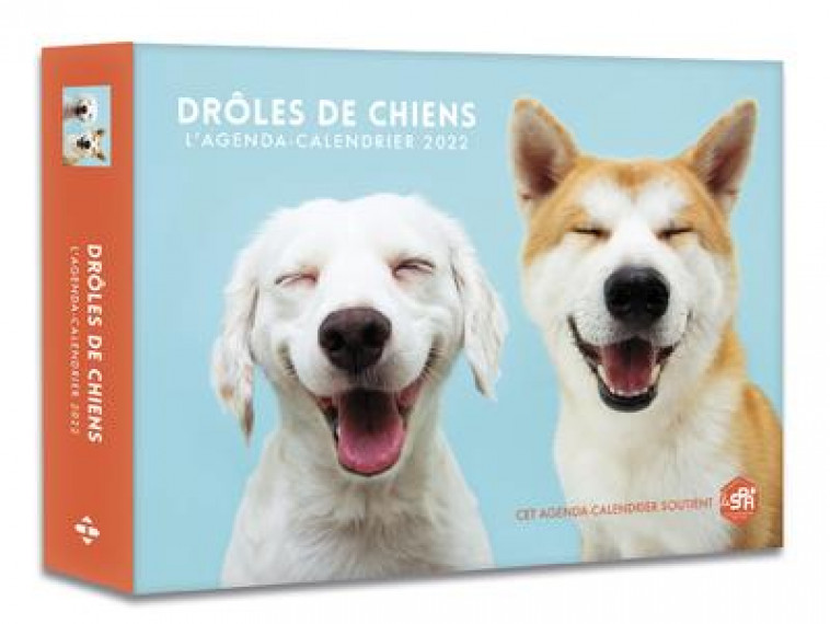 L-AGENDA - CALENDRIER DROLES DE CHIENS 2022 - COLLECTIF - HUGO JEUNESSE