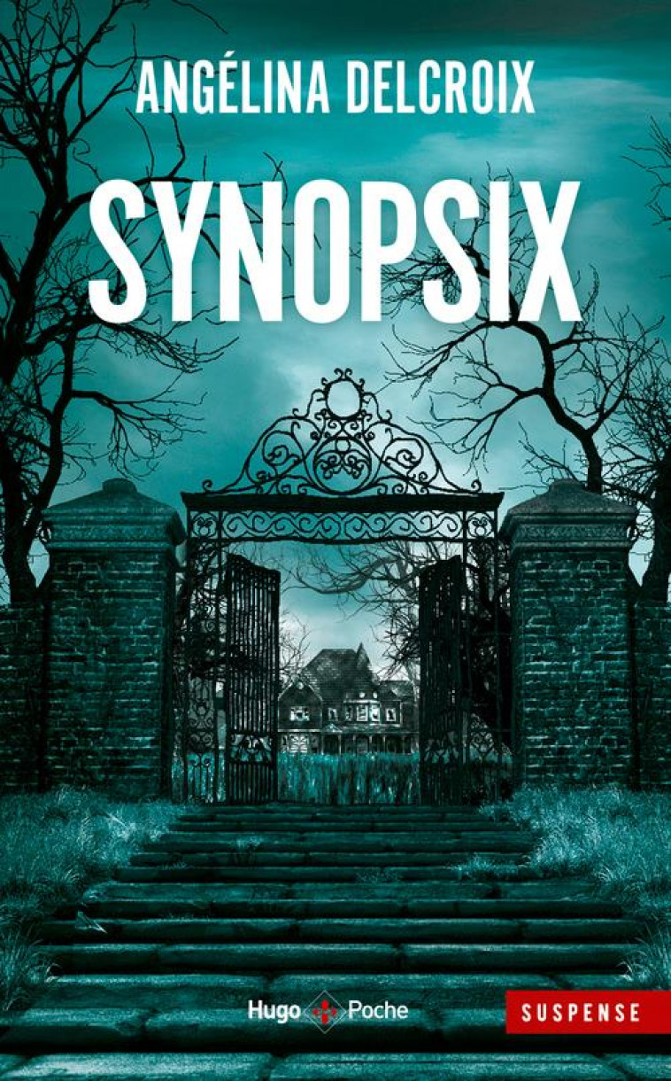 SYNOPSIX - DELCROIX ANGELINA - HUGO JEUNESSE