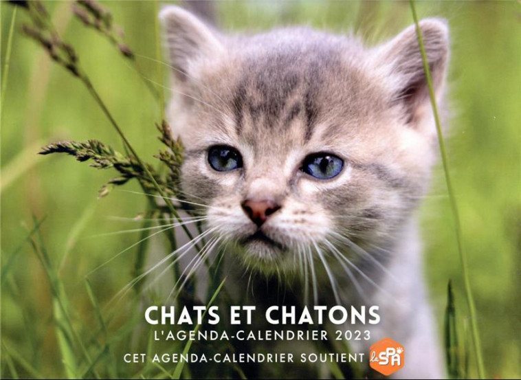 AGENDA - CALENDRIER CHATS ET CHATONS 2023 - COLLECTIF - HUGO JEUNESSE