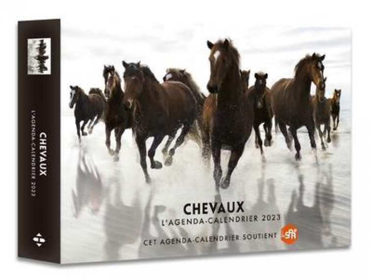 AGENDA - CALENDRIER CHEVAUX 2023 - COLLECTIF - HUGO JEUNESSE