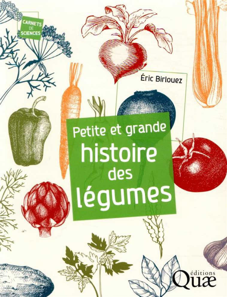 PETITE ET GRANDE HISTOIRE DES LEGUMES - BIRLOUEZ ERIC - QUAE