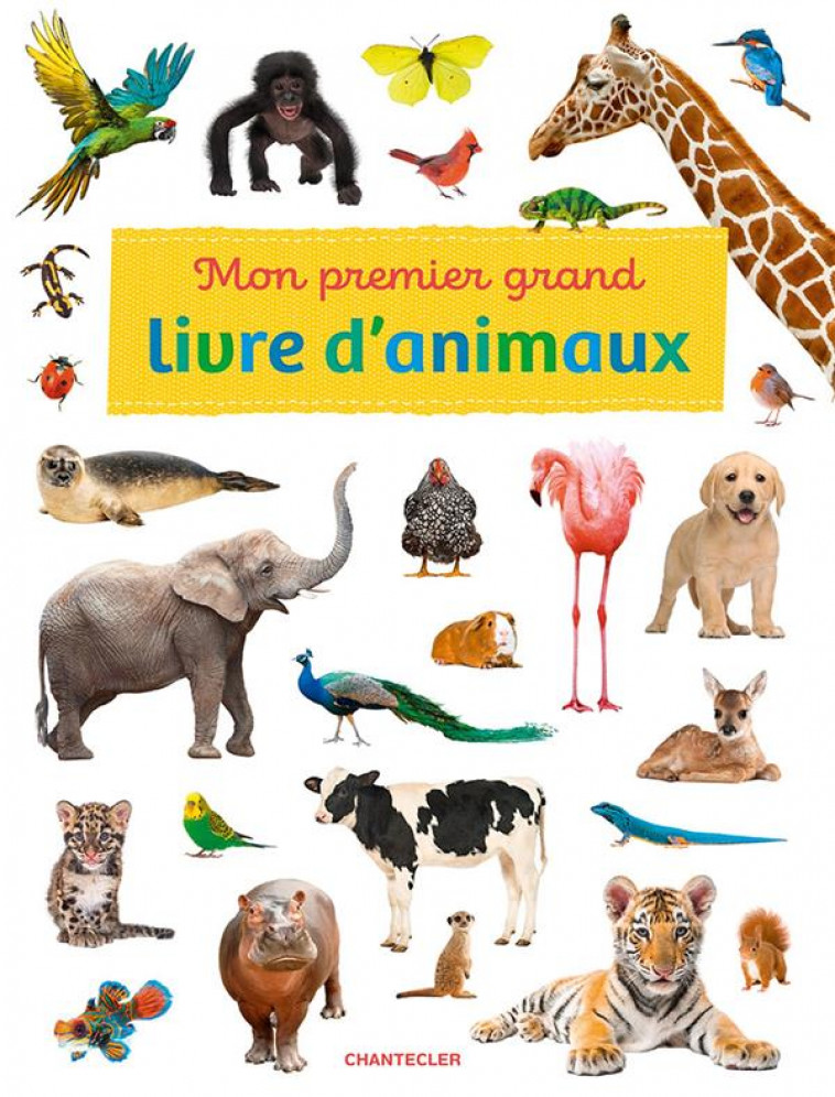 MON PREMIER GRAND LIVRE D-ANIMAUX - COLLECTIF - CHANTECLER