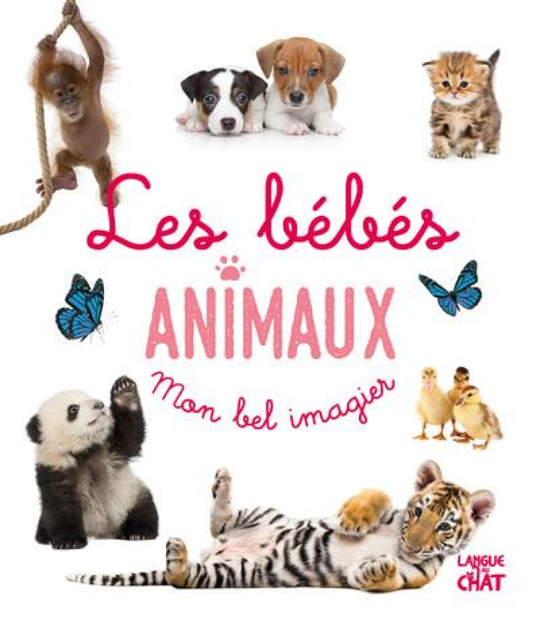 MON BEL IMAGIER - LES BEBES ANIMAUX - COLLECTIF - LANGUE AU CHAT