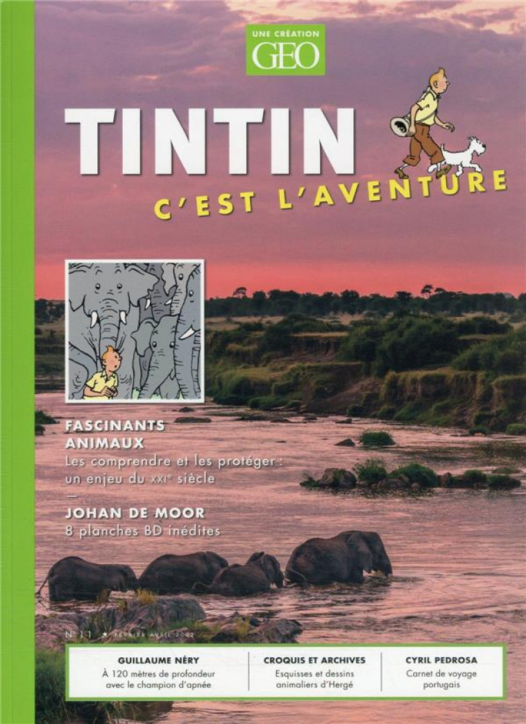 TINTIN - C-EST L-AVENTURE 11 - FASCINANTS ANIMAUX - COLLECTIF - FEMME ACTUELLE