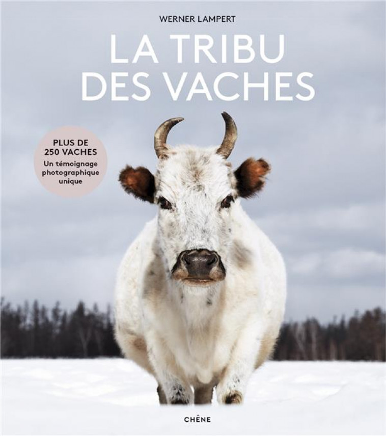 LA TRIBU DES VACHES - DES AUROCHS AUX VACHES SACREES - LAMPERT WERNER - LE CHENE