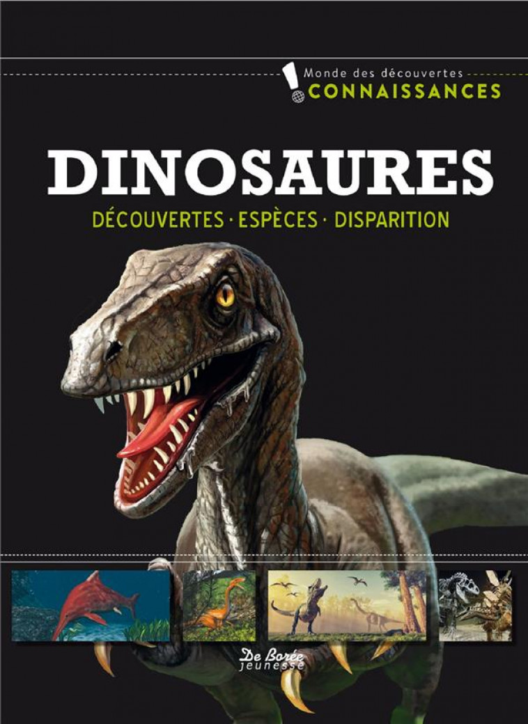 DINOSAURES - COLLECTIF - DE BOREE