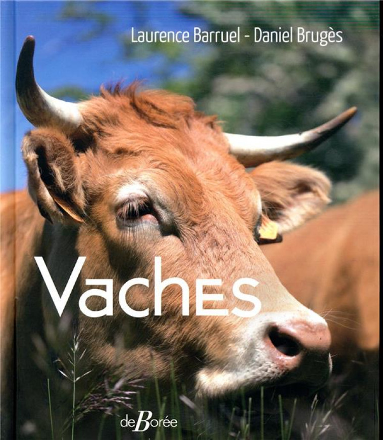 VACHES - BRUGES/BARRUEL - DE BOREE