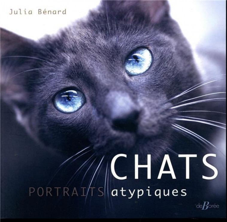 CHATS, PORTRAITS ATYPIQUES - BENARD JULIA - DE BOREE