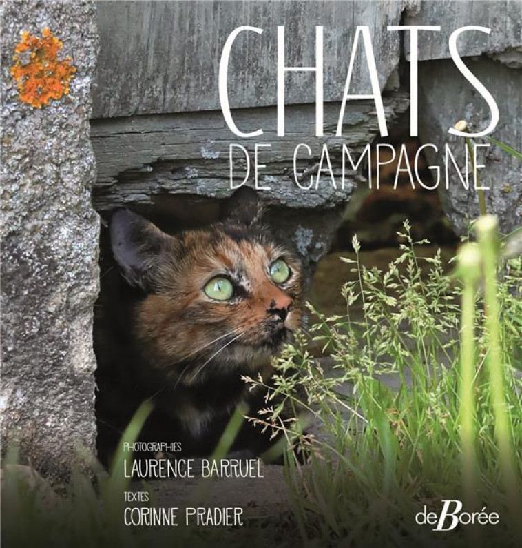 CHATS DE CAMPAGNE - BARRUEL/PRADIER - DE BOREE