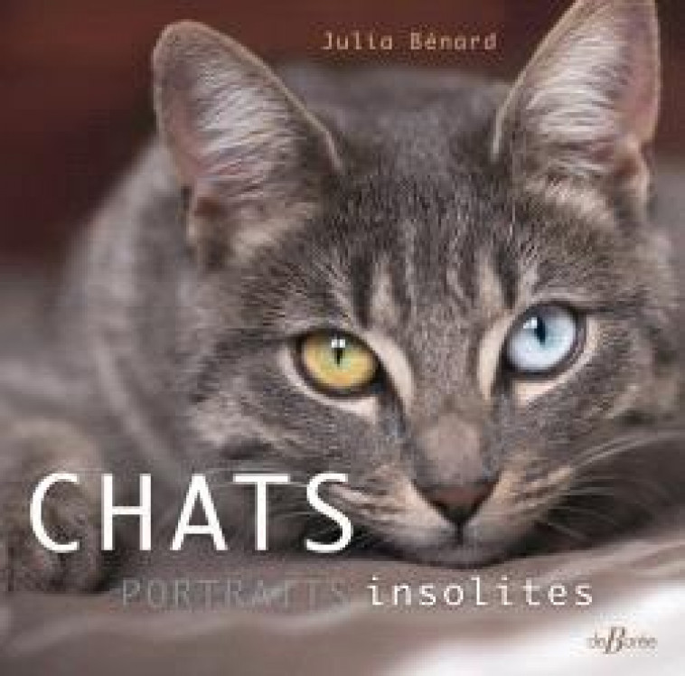 CHATS, PORTRAITS INSOLITES - BENARD JULIA - DE BOREE