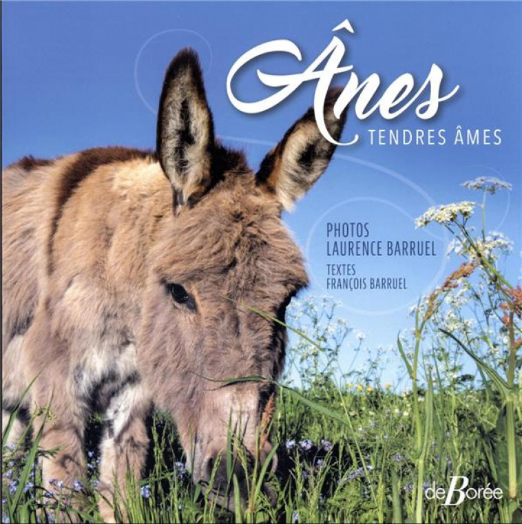 ANES - TENDRES AMES - BARRUEL - DE BOREE