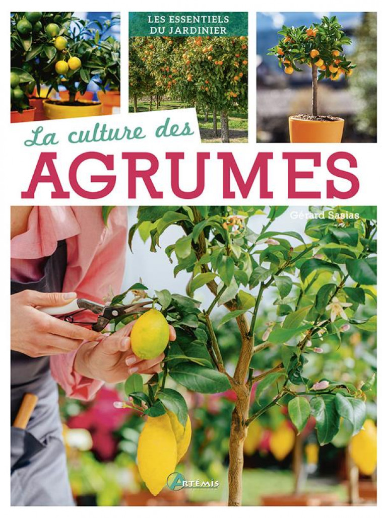 LA CULTURE DES AGRUMES - COLLECTIF - ARTEMIS