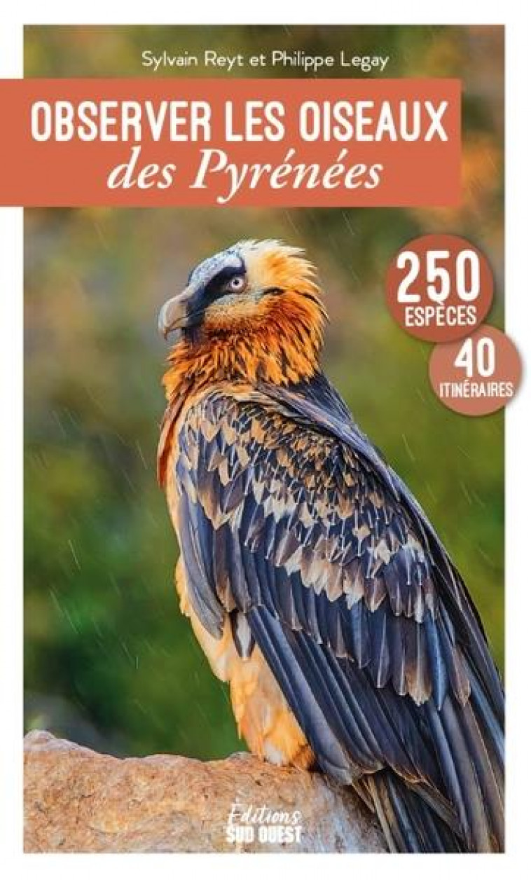 OBSERVER LES OISEAUX DES PYRENEES - 250 ESPECES, 41 ITINERAIRES - PHILIPPE LEGAY ET SY - SUD OUEST