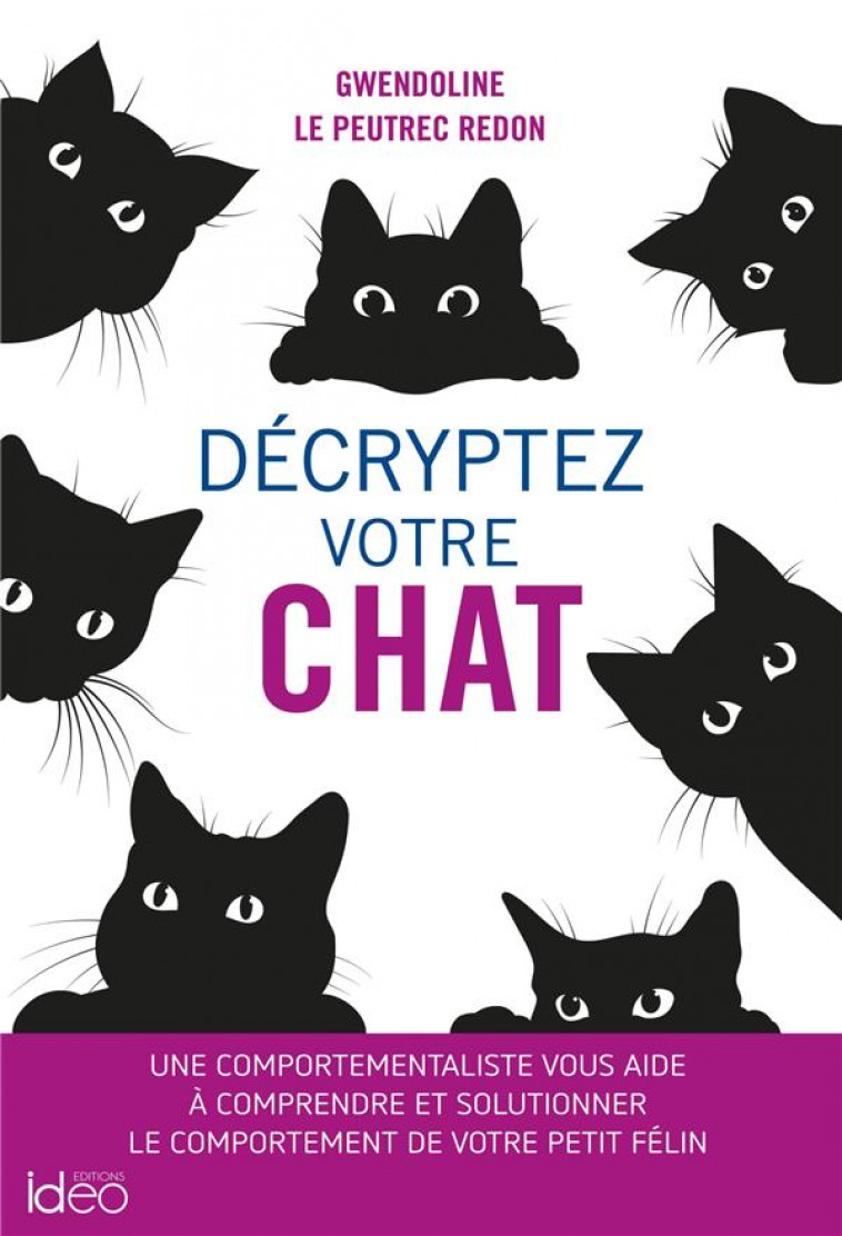 DECRYPTEZ VOTRE CHAT - LE PEUTREC-REDON G. - CITY