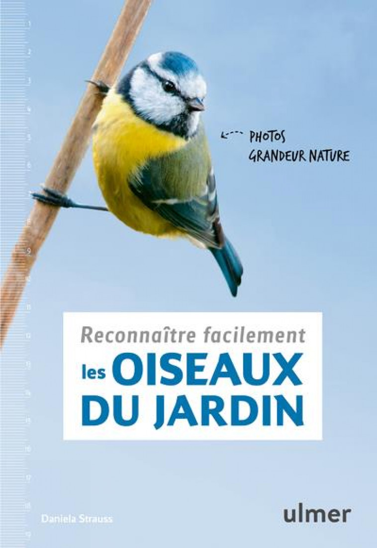 RECONNAITRE FACILEMENT LES OISEAUX DU JARDIN - PHOTOS GRANDEUR NATURE - STRAUSS DANIELA - ULMER