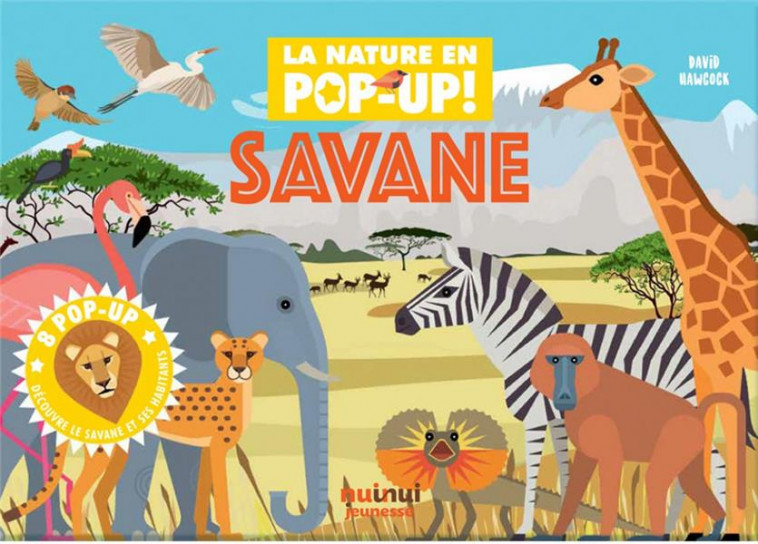 NATURE - POP-UP - SAVANE - HAWCOCK DAVID - NUINUI JEUNESSE