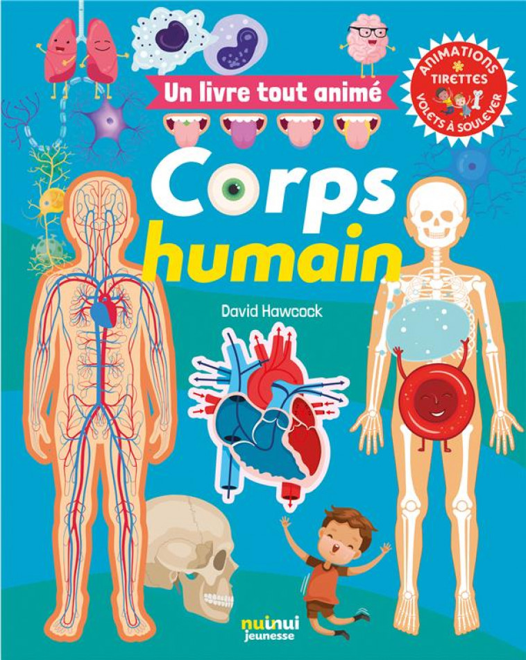 UN LIVRE TOUT ANIME - CORPS HUMAIN - HAWCOCK DAVID - NUINUI JEUNESSE