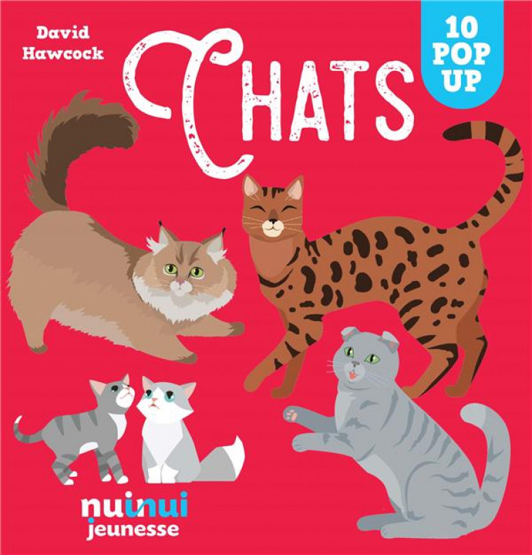 CHATS - HAWCOCK DAVID - NUINUI JEUNESSE