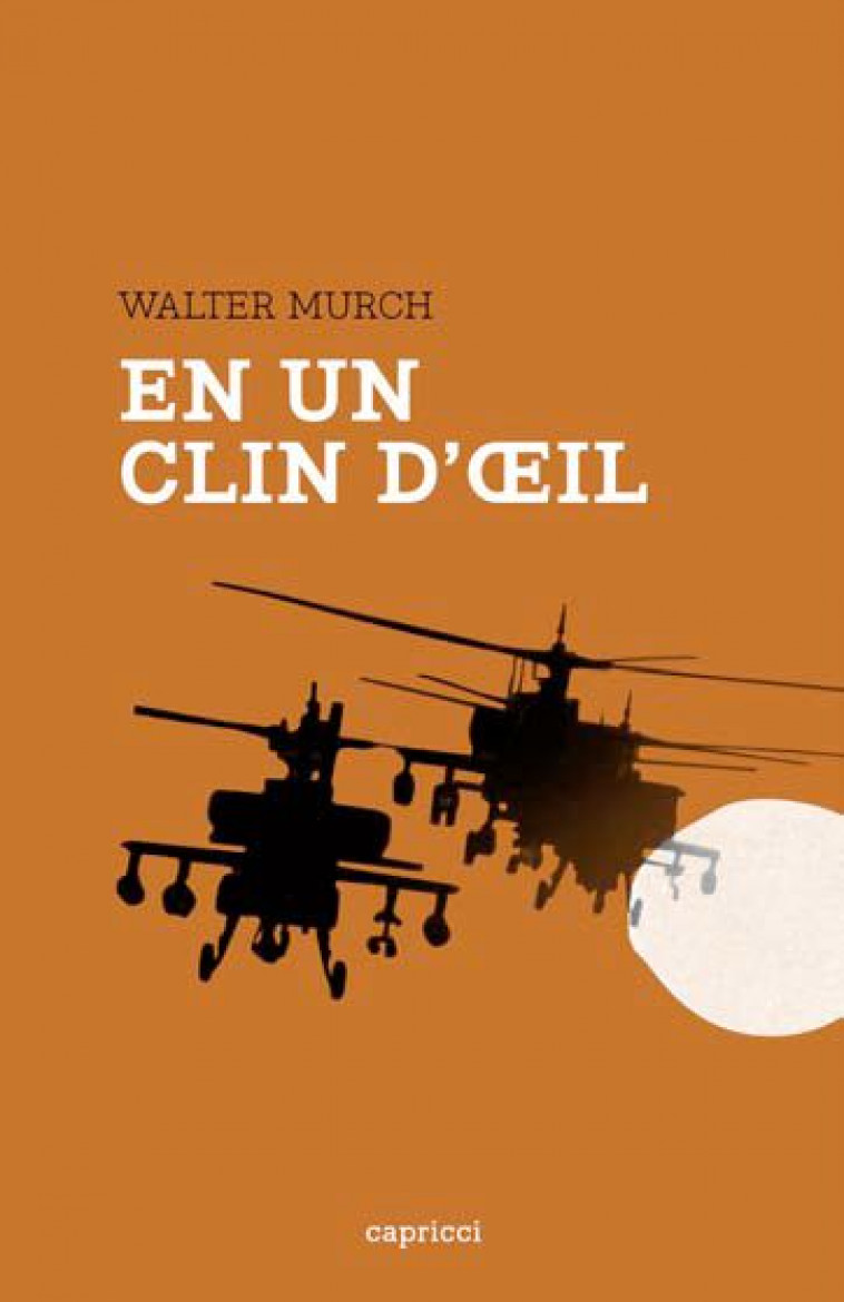 EN UN CLIN D-OEIL - PASSE, PRESENT ET FUTUR DU MONTAGE - MURCH WALTER - CAPRICCI