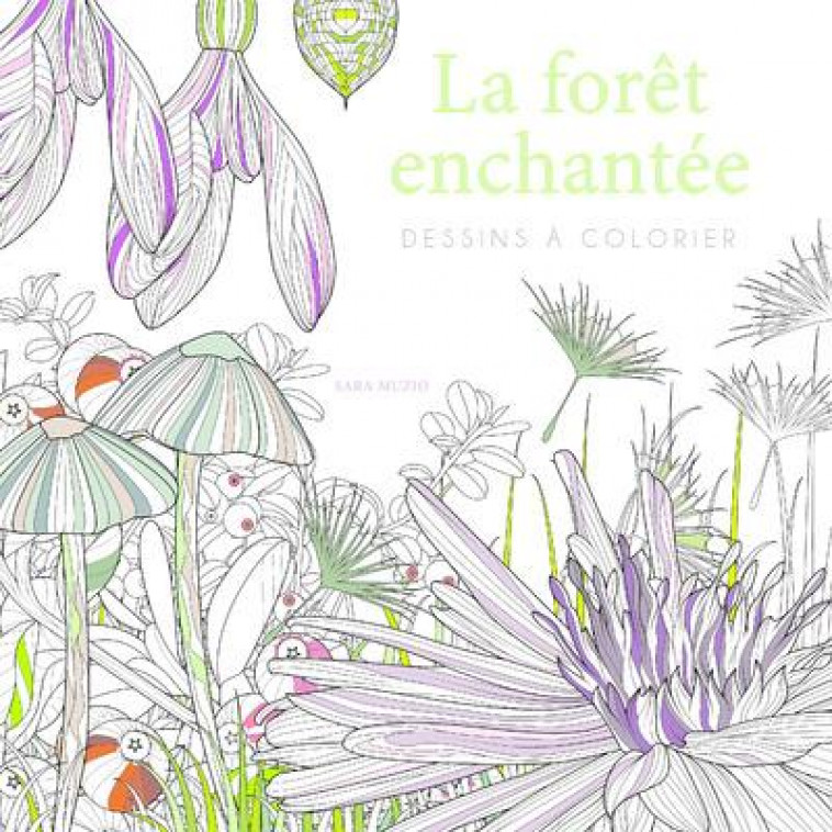 LA FORET ENCHANTEE - DESSINS A COLORIER - MUZIO SARA - NC