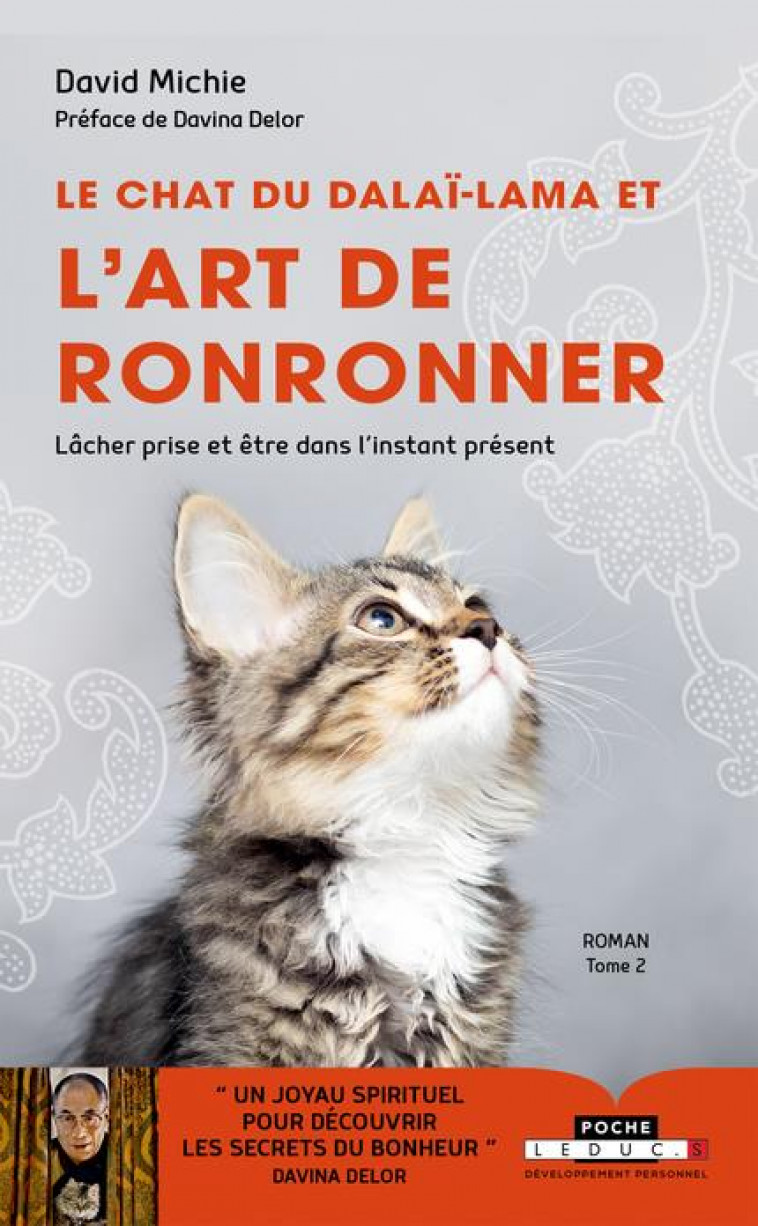 LE CHAT DU DALAI LAMA ET L-ART DE RONRONNER (TOME 2) - LACHER PRISE ET ETRE DANS L-INSTANT PRESENT - MICHIE DAVID - QUOTIDIEN MALIN