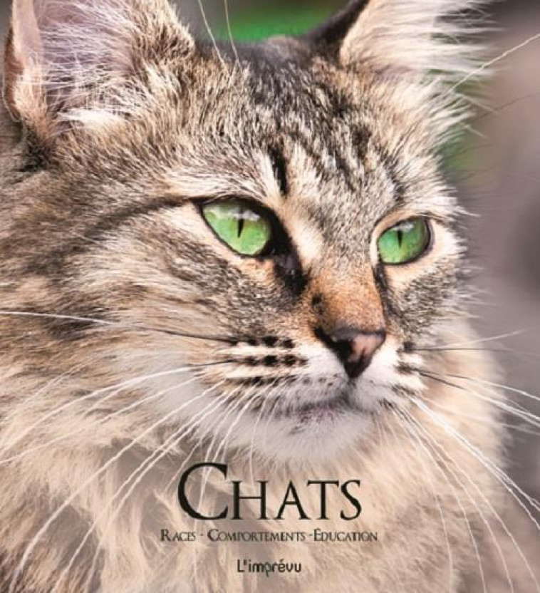 CHATS - RACES, COMPORTEMENTS, EDUCATION - VIARD MICHEL - Editions de l'Imprévu