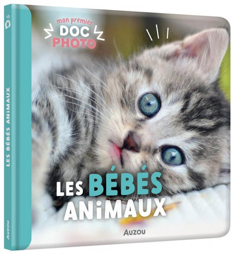 MON PREMIER DOC PHOTO  - LES BEBES ANIMAUX - COLLECTIF - PHILIPPE AUZOU