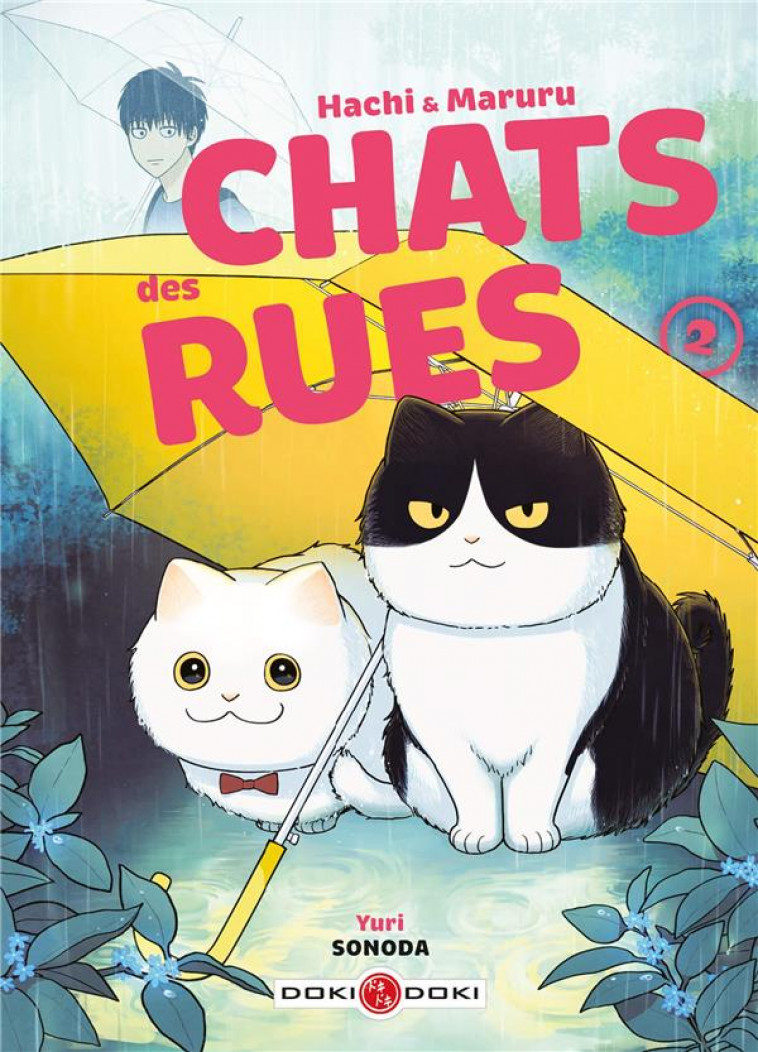 HACHI & MARURU - CHATS DES RUES - T02 - HACHI & MARURU - CHATS DES RUES - VOL. 02 - SONODA YURI - BAMBOO