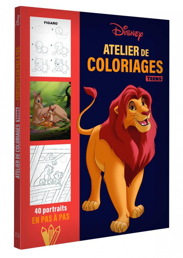 DISNEY TEENS - ATELIER DE COLORIAGES - PORTRAITS EN PAS A PAS - XXX - HACHETTE