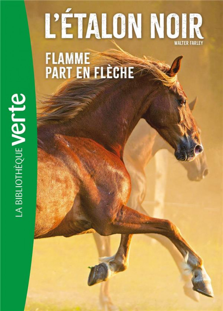 L-ETALON NOIR - T12 - L-ETALON NOIR NED 12- FLAMME PART EN FLECHE - FARLEY WALTER - HACHETTE