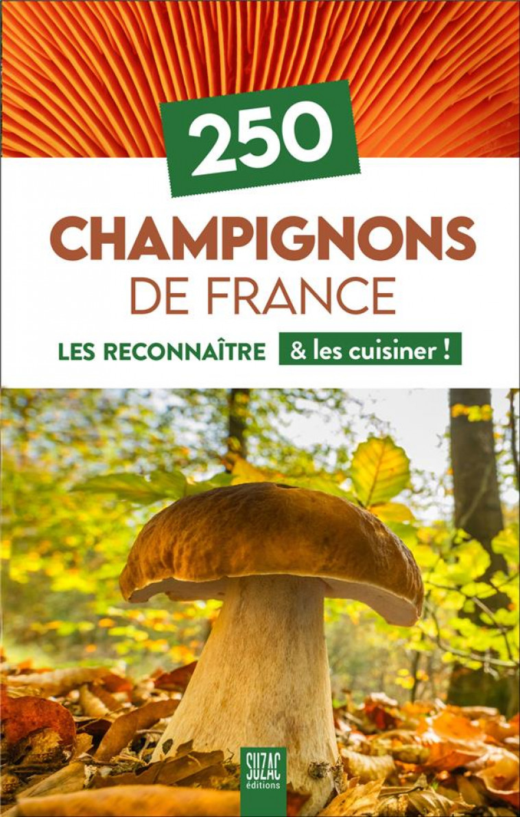 250 CHAMPIGNONS DE FRANCE - LES RECONNAITRE & LES CUISINER ! - COLLECTIF - DU LUMIGNON