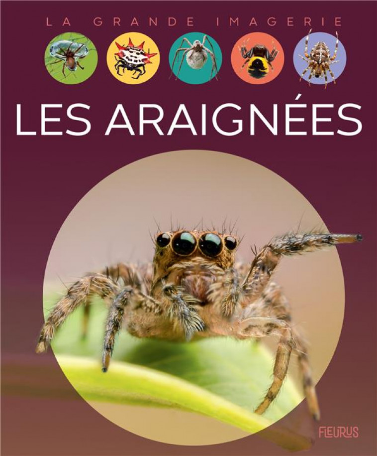 LES ARAIGNEES - FRANCO CATHY - FLEURUS