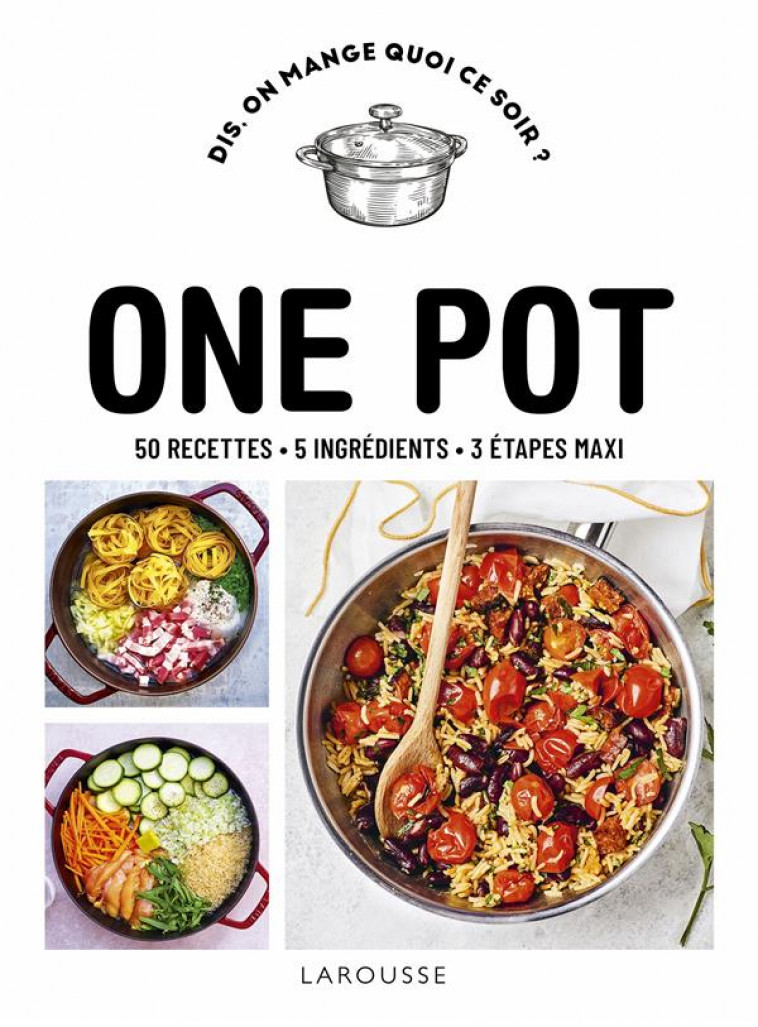 ONE POT - COLLECTIF - LAROUSSE