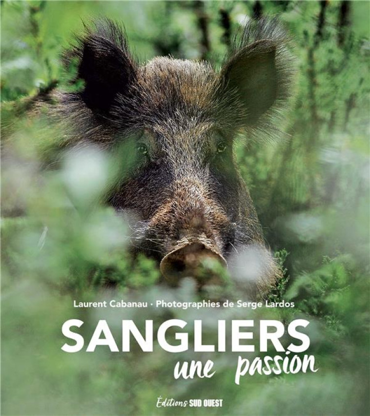 SANGLIERS. UNE PASSION - XXX - SUD OUEST