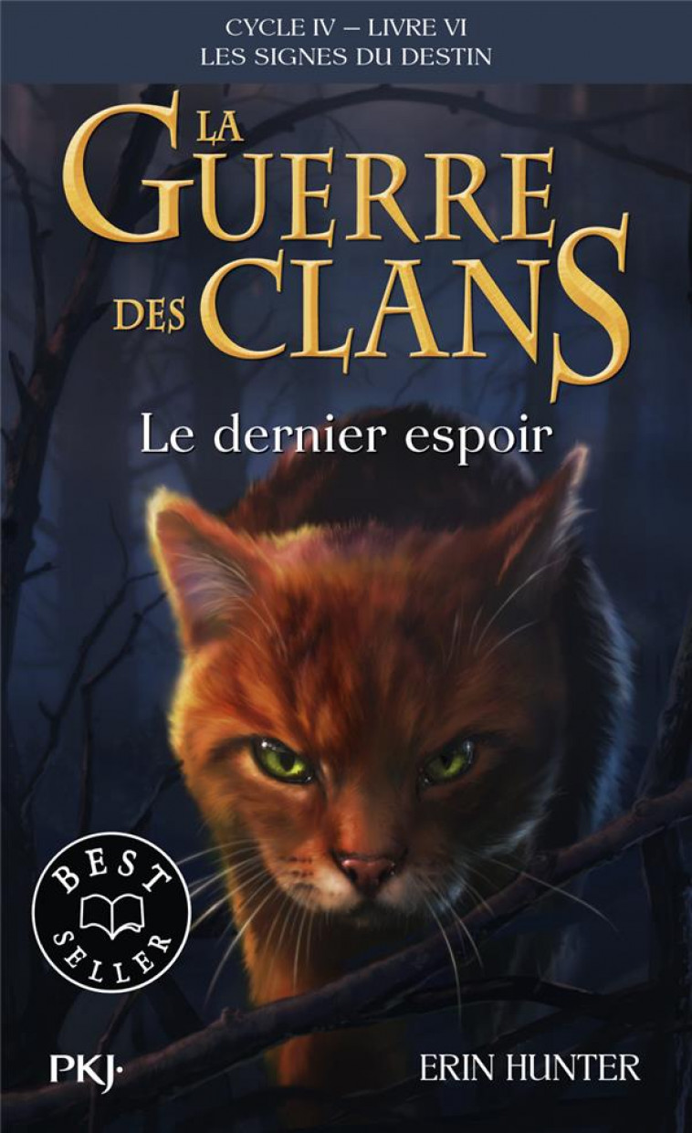 LA GUERRE DES CLANS, CYCLE IV, TOME 06 : LE DERNIER ESPOIR - HUNTER ERIN - POCKET